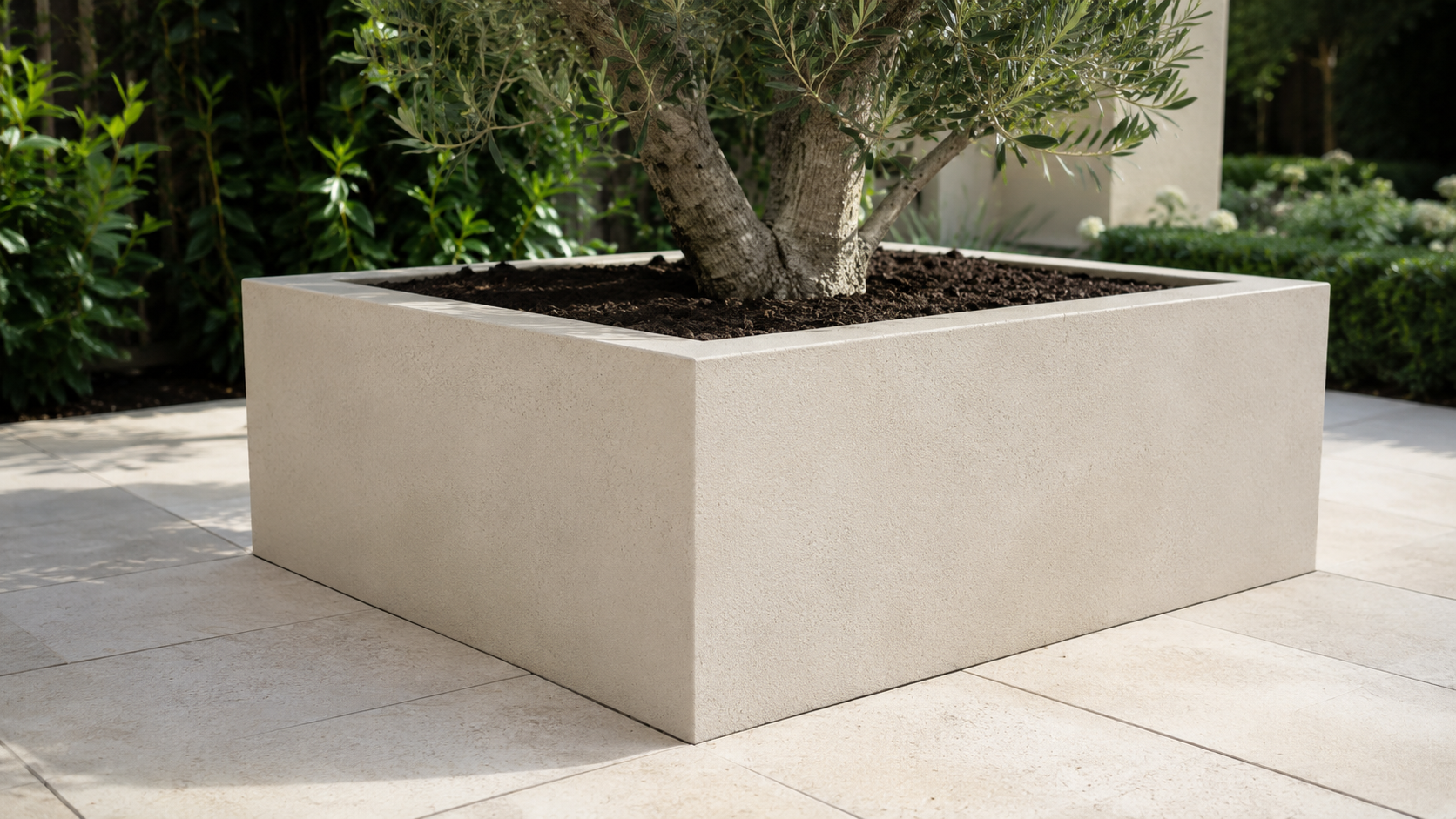 The Zero Maintenance Myth: Plants That Actually Survive